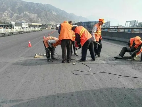 中卫道路桥梁病害治理